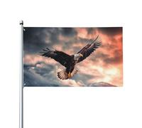 Bandiera 0,9 x 1,5 m, decorazione con 2 occhielli, aquila mosche nell'aria, decorazioni esterne, stampa HD, striscioni in poliestere 200D resistenti per vacanze e cortile, grandi bandiere per interni