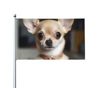 Bandiera 0,9 x 1,5 m, decorazione con 2 occhielli carino chihuahua decorazioni esterne stampa HD 200D banner in poliestere resistente per vacanze cortile grandi bandiere per interni ed esterni