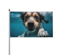 Bandiera 0,9 x 1,5 m, decorazione con 2 occhielli per cani subacquei, decorazioni esterne, stampa HD, striscioni in poliestere 200D resistenti per vacanze e cortile, grandi bandiere per interni ed