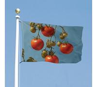 Bandiera 119,4 x 177,8 cm a doppia faccia bandiere da giardino con pomodori maturi bandiere di benvenuto per esterni festivo banner con occhielli in ottone bandiera per casa primavera estate grande