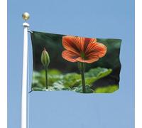 Bandiera 119,4 x 177,8 cm bandiere da cortile a doppia faccia cresce più alta lentamente bandiera da giardino bandiere di benvenuto per esterni festivo banner con occhielli in ottone bandiera casa