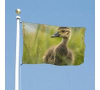 Bandiera 119,4 x 177,8 cm bandiere da cortile a doppia faccia Little Duck in the Grass Bandiera da giardino Bandiere di benvenuto per esterni Festività Banner con occhielli in ottone Bandiera per casa
