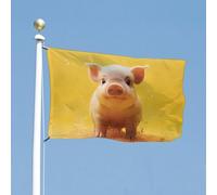 Bandiera 119,4 x 177,8 cm bandiere da cortile a doppio lato Piggy Is Jumping Bandiera da giardino bandiere di benvenuto per esterni Banner con occhielli in ottone Bandiera per casa primavera estate