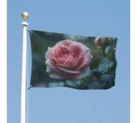 Bandiera 119,4 x 177,8 cm doppia faccia bandiere da cortile rose sotto la pioggia Bandiera da giardino bandiere di benvenuto per esterni festivo banner con occhielli in ottone bandiera casa primavera