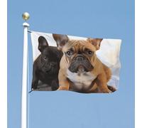 Bandiera 119,4 x 177,8 cm doppia faccia bandiere da giardino bulldog francese bandiere di benvenuto per esterni festivo banner con occhielli in ottone bandiera casa primavera estate grande bandiera