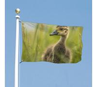 Bandiera 152,4 x 243,8 cm bandiere da cortile a doppia faccia Little Duck in the Grass Bandiera da giardino Bandiere di benvenuto per esterni Festività Banner con occhielli in ottone Bandiera per casa