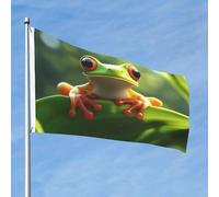 Bandiera 2 x 3 Ft bandiere da esterno a doppia faccia grande banner per vacanze con 2 occhielli in ottone carino rana bandiera da cortile per tutte le stagioni bandiere da giardino di benvenuto per