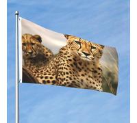 Bandiera 2 x 3 Ft bandiere esterne su entrambi i lati grande bandiera per le vacanze con 2 occhielli in ottone carino leopardo bandiera da cortile per tutte le stagioni bandiere da giardino di