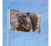 Bandiera 3 x 1,5 m bandiera da giardino bandiera esterna doppia bandiera verticale carino scoiattolo bandiere per tutte le condizioni atmosferiche per cortile decorazione esterna segno banner vacanza