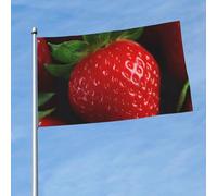 Bandiera 3 x 1,5 m bandiere da esterno a doppia faccia grande striscione per vacanze con 2 occhielli in ottone rosso fragola bandiera da cortile per tutte le stagioni bandiere da giardino di benvenuto