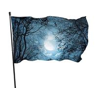 Bandiera 3 x 1,5 m cielo notturno colori vivaci banner sport all'aria aperta, resistente allo sbiadimento, bandiera da cortile in poliestere con 2 occhielli in ottone per esterni e interni decorazione