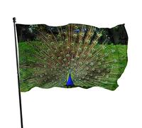 Bandiera 3 x 1,5 m con pavoni affascinanti colori vivaci banner sport all'aria aperta, resistente allo sbiadimento, bandiera da cortile in poliestere con 2 occhielli in ottone per interni ed esterni