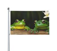 Bandiera 3 x 1,5 m Doppio Lato Esterno Giardino Bandiera Verticale Casa Due Rane Verdi Bandiera di Benvenuto Banner Festività Bandiere Decorative Yard Flag per Outdoor Portico Giardini Yard Decor