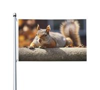 Bandiera 3 x 1,5 m Doppio Lato Esterno Giardino Bandiera Verticale Casa Scoiattolo Solo Posa Bandiera di Benvenuto Bandiera Vacanza Banner Bandiere Decorative Yard Flag per Outdoor Portico Giardini