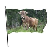 Bandiera 3 x 1,5 m vera mucca svizzera marrone colori vivaci banner sport all'aria aperta, resistente allo sbiadimento, bandiera da cortile in poliestere con 2 occhielli in ottone per esterni e