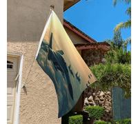 Bandiera 3 x 2 Ft Resistente allo sbiadimento Bandiere per esterni Banner decorativo Aerei Jets Bandiere da giardino Bandiera da parete a doppia faccia con occhielli in ottone sfondo divertente per