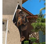 Bandiera 3 x 2 Ft Resistente allo sbiadimento Bandiere per esterni Banner decorativo Bassotto Libro Bandiere da giardino Bandiera a doppia faccia Bandiera da parete con occhielli in ottone Divertente