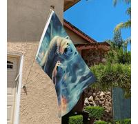 Bandiera 3 x 2 Ft Resistente allo sbiadimento Bandiere per esterni Banner decorativo Orsi polari Aurora boreale Bandiere da giardino Bandiera a doppia faccia Bandiera da parete con occhielli in ottone