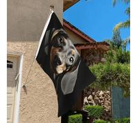 Bandiera 3 x 2 Ft Resistente allo sbiadimento Bandiere per esterni Banner Pad Bassotto Bandiere da giardino Doppio Lato Casa Bandiera da parete con occhielli in ottone Divertente sfondo per prato