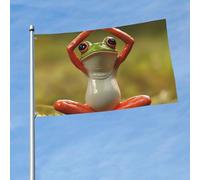 Bandiera 3 x 5 Ft Bandiere per esterni a doppia faccia Grande Banner per le vacanze con 2 occhielli in ottone La divertente rana che fa yoga Bandiera da cortile per tutte le stagioni bandiere da