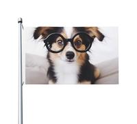 Bandiera 3 x 5 ft cane carino con occhiali bandiera casa divertente festa banner doppio lato verticale all'aperto bandiere estive giardino con occhielli in ottone grande cortile bandiera per esterni