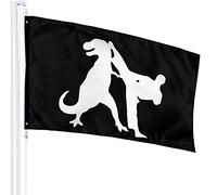 Bandiera 3 X 5 Karate Rex Dinosauro Arti Marziali-1 Bandiere Traslucide Singolo Strato 100% Poliestere 90 X 150 Cm - Striscione 3' X 5'