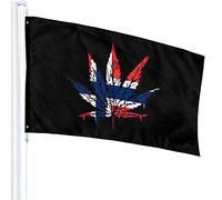 Bandiera 3 X 5 Norvegia Bandiera Weed Leaf Bandiere traslucide monostrato 100% poliestere 90 x 150 cm