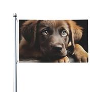 Bandiera 3 x 5Ft Doppio Lato Esterno Giardino Bandiera Verticale Casa Bandiera Cuccioli Cane Benvenuto Bandiera Vacanza Banner Bandiere Decorative Yard Flag per Outdoor Portico Giardini Yard Decor