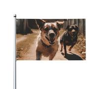 Bandiera 3x5 piedi primavera estate cane che corre sulla strada striscione con occhielli in poliestere personalizzata giardino casa decorazione per la casa vacanze per cortile prato portico