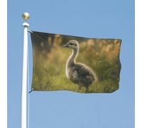 Bandiera 61 x 88,9 cm bandiere da cortile a doppia faccia Little Duck in the Field Bandiera da giardino Bandiere di benvenuto per esterni Festività Banner con occhielli in ottone Bandiera della casa