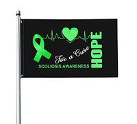 Bandiera 9,1 x 1,5 m Hope for a Cure Bandiere per la consapevolezza della scoliosi Striscione dai colori vivaci con occhielli in ottone per decorazioni per interni ed esterni