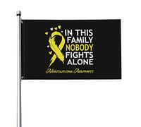 Bandiera 9,1 x 1,5 m In questa famiglia nessuno combatte da solo Bandiere di sensibilizzazione sull'adenosarcoma Striscione dai colori vivaci con occhielli in ottone per decorazioni per interni ed es