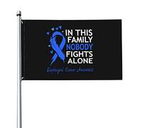 Bandiera 9,1 x 1,5 m In questa famiglia nessuno combatte da solo Bandiere per la consapevolezza del cancro esofageo Striscione dai colori vivaci con occhielli in ottone per decorazioni per interni ed
