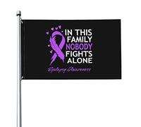Bandiera 9,1 x 1,5 m In questa famiglia Nessuno combatte da solo Bandiere per la consapevolezza dell'epilessia Striscione dai colori vivaci con occhielli in ottone per decorazioni per interni ed este