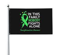 Bandiera 9,1 x 1,5 m In questa famiglia nessuno combatte da solo Bandiere per la consapevolezza della neurofibromatosi Striscione dai colori vivaci con occhielli in ottone per decorazioni per interni