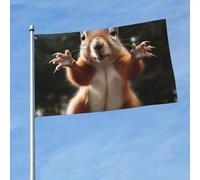 Bandiera 90 cm x 150 cm, bandiera a doppia faccia 200D pesante striscione scoiattolo divertente animale bandiere di benvenuto decorazione per esterni con occhielli in ottone bandiere da giardino per