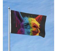 Bandiera 90 x 150 cm, decorazione per esterni, resistente bandiere da giardino, bandiere arcobaleno con lama in poliestere 200D, con 2 occhielli per interni ed esterni, per vacanze tutte le stagioni