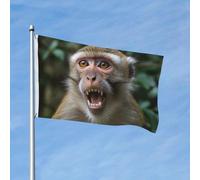 Bandiera 90 x 150 cm, decorazione per esterni, resistente bandiere da giardino, bandiere scimmie, striscione da cortile in poliestere 200D con 2 occhielli per interni ed esterni, per vacanze tutte le
