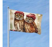 Bandiera 90 x 150 cm, decorazione per esterni, resistente bandiere da giardino con due gufi marroni, bandiera da cortile in poliestere 200D con 2 occhielli per interni ed esterni, per vacanze tutte le