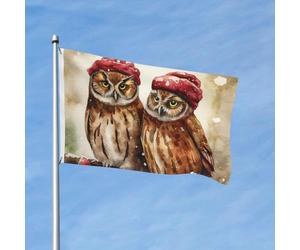 Bandiera 90 x 150 cm, decorazione per esterni, resistente bandiere da giardino con due gufi marroni, bandiera da cortile in poliestere 200D con 2 occhielli per interni ed esterni, per vacanze tutte le
