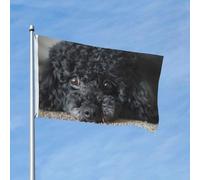 Bandiera 90 x 150 cm, decorazione per esterni, resistente bandiere da giardino sdraiate sul tappeto, bandiera da cortile in poliestere 200D con 2 occhielli per interni ed esterni, per vacanze tutte le