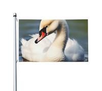 Bandiera 90 x 152 cm a doppia faccia decorazione per esterni bandiera carina piccolo cigno bandiere 200D pesanti da giardino in ottone occhielli in tela intestazione esterno cortile banner per vacanze