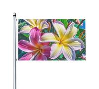 Bandiera 90 x 152 cm a doppia faccia per decorazione esterna bandiere hawaiane colorate bandiera floreale 200D pesanti bandiere da giardino occhielli in ottone intestazione tela intestazione esterno