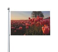Bandiera 90 x 152 cm a doppia faccia per decorazione esterna bandiere tulipani campo bandiera 200D pesante giardino bandiere in ottone occhielli in tela intestazione esterno cortile banner per vacanze
