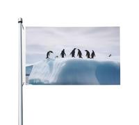 Bandiera 90 x 152 cm Doppia faccia Banner Decorazione Bandiere Esterna Pinguini sull'Iceberg Bandiera 200D Pesante Giardino Bandiere in Ottone Occhielli in Tela Intestazione Esterno Cortile Banner per