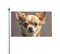 Bandiera 90 x 152 cm Double Sided Banner Decorazione Outdoor Bandiere Carino Chihuahua Bandiera 200D Pesante Giardino Bandiere in Ottone Occhielli in Tela Intestazione Esterno Cortile Banner per
