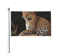 Bandiera 90X150cm, African Leopard on Rock con Occhielli Bandiere da giardino Decorative Bandierine per Balcone Bar Interno