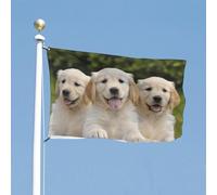Bandiera 90X150cm, Golden Retriever Puppies Personalizzata Bandiere con Occhielli Striscioni di Bunting per Interno Parata All'aperto