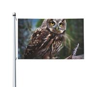 Bandiera 90X150cm, Wild Owl Birds Resistente allo Scolorimento Bandiere da giardino con Occhielli Striscioni di Bunting per Conferenza Interno All'aperto