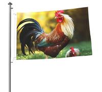 bandiera a forma di gallo e gallina, 2x3 piedi, per interni, con occhielli, doppia faccia, da giardino, grande, per cortile, casa, decorazione da parete, poster da appendere.